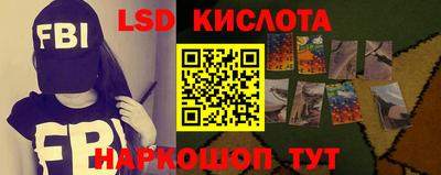 Альфа ПВП Ставрополь