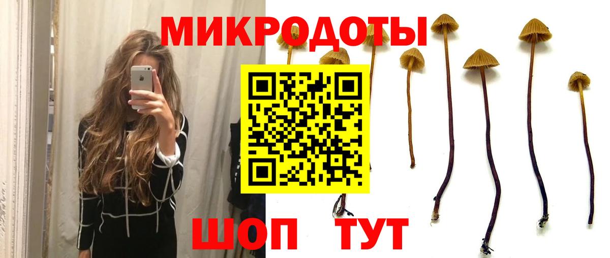 Псилоцибиновые грибы ЛСД  Псилоцибиновые грибы мухоморы  Вход с VPN  Новошахтинск 